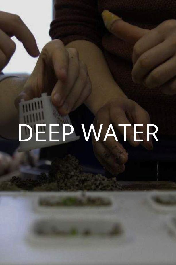 Home 45 DEEP WATER