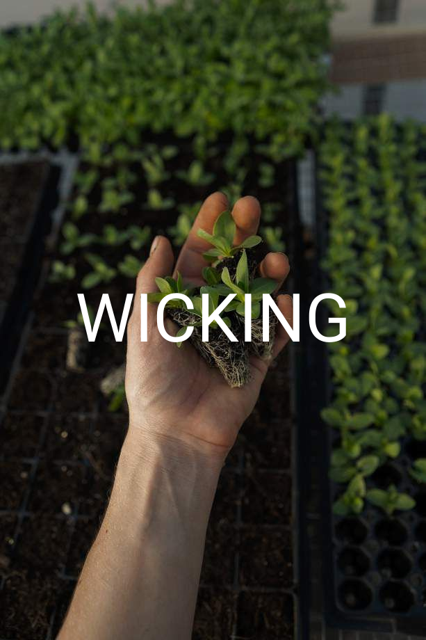 Home 44 WICKING