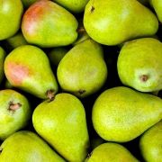 fruits