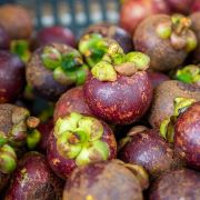 mangosteen