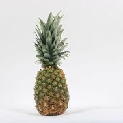 tropical fruit